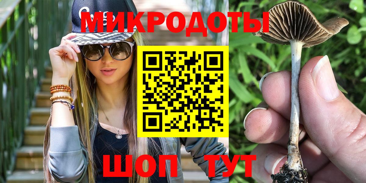Псилоцибиновые грибы мицелий Городец