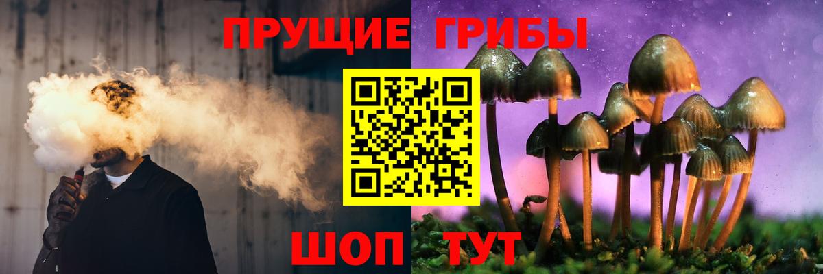 купить наркоту  Вход с VPN  Городец  Псилоцибиновые грибы мухоморы 